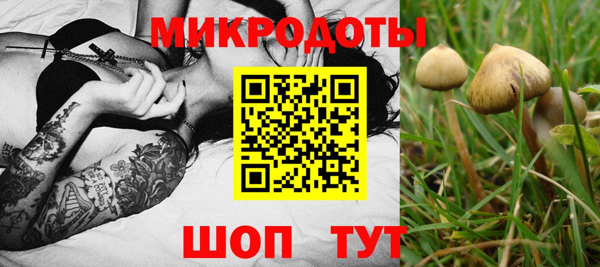 Галлюциногенные грибы Cubensis  Вход с VPN  Томск 