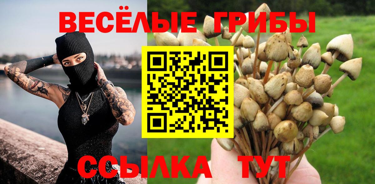 Галлюциногенные грибы Magic Shrooms Томск